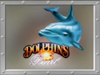 Dolphins Pearl