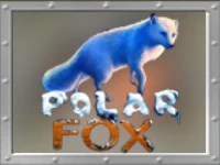 Polar Fox